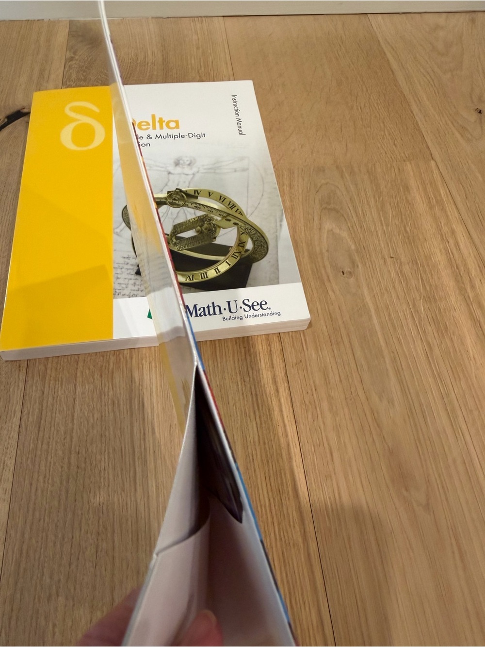Math-U-See Delta Homeschool Math Curriculum Set + DVD - Picture 9 of 9